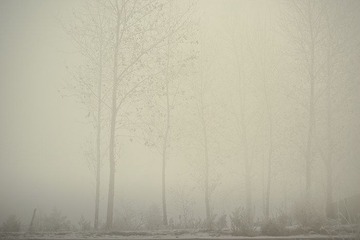 _DSC9646-1.jpg
