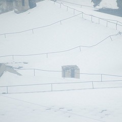 _DSC9716-1.jpg