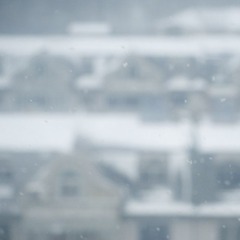 _DSC9722-1.jpg