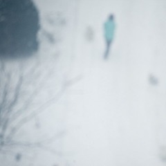 _DSC9748-1.jpg