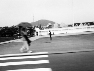 DSC00316x.jpg