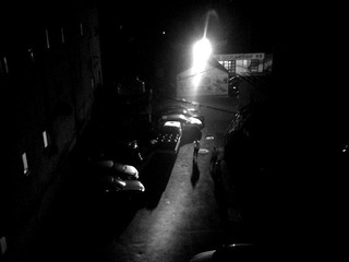 DSC00398x.jpg