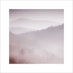 伊春行之路上风景004