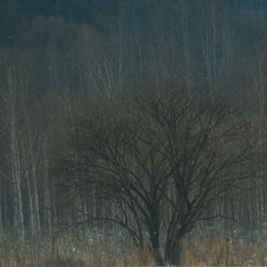 _DSC9286xiao