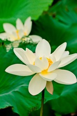 _DSC5622fang