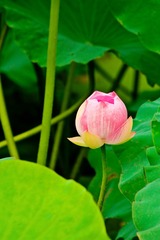 _DSC5744
