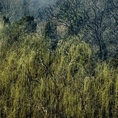 _DSC7519