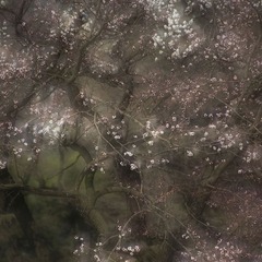 _DSC7813-1