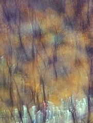 _DSC7906