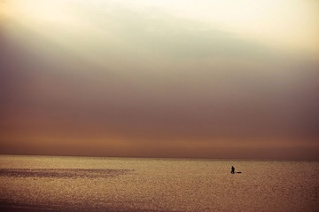 _DSC8696