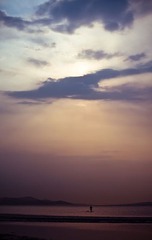 _DSC8715