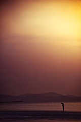 _DSC8730