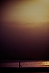 _DSC8733