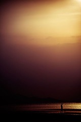 _DSC8738