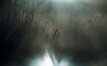 _DSC0639-1