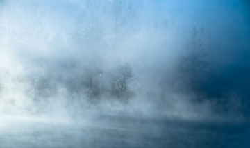 _DSC0647