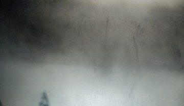 _DSC0651