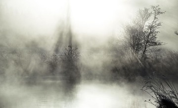 _DSC0654