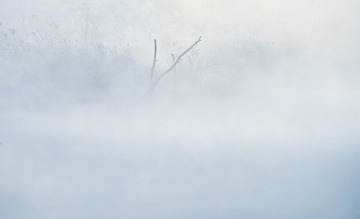 _DSC0655