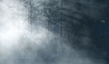_DSC0658