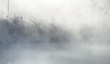 _DSC0661