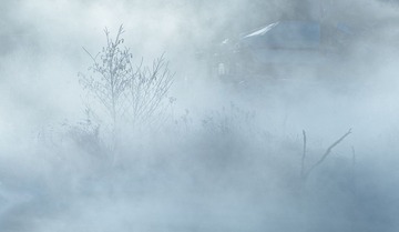 _DSC0662