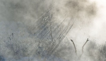 _DSC0665