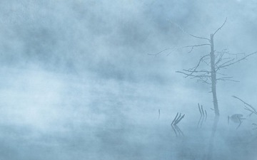 _DSC0666