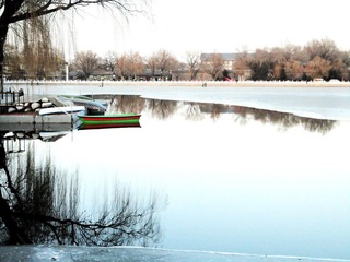 DSC05985-1.JPG