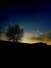 DSC05928-2.JPG