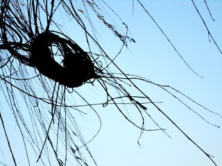 DSC05911-1.JPG