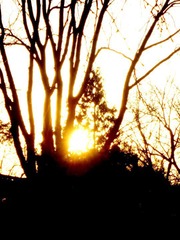 DSC05926-1.JPG