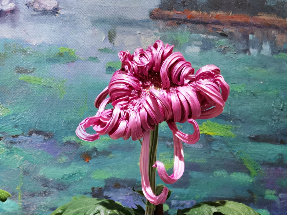 油画与菊花的结合