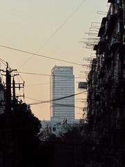 91206