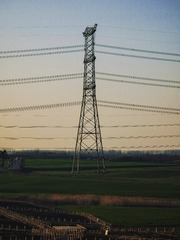 1000082123