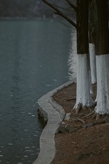 134724