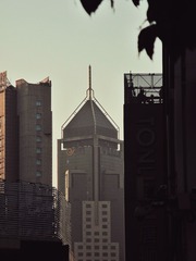 91202