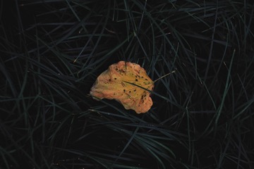 120580
