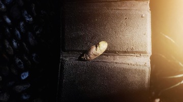 120643