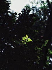 120558