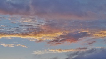 120604