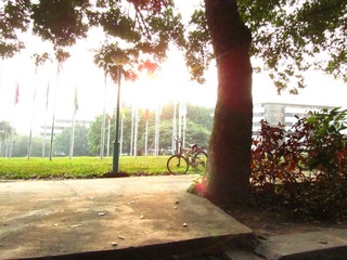 sunshine