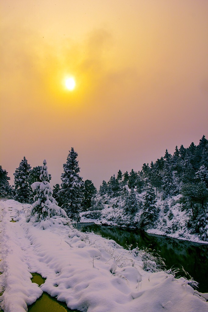 早晨特意早起，就为了抢个一雪，不容易呀！