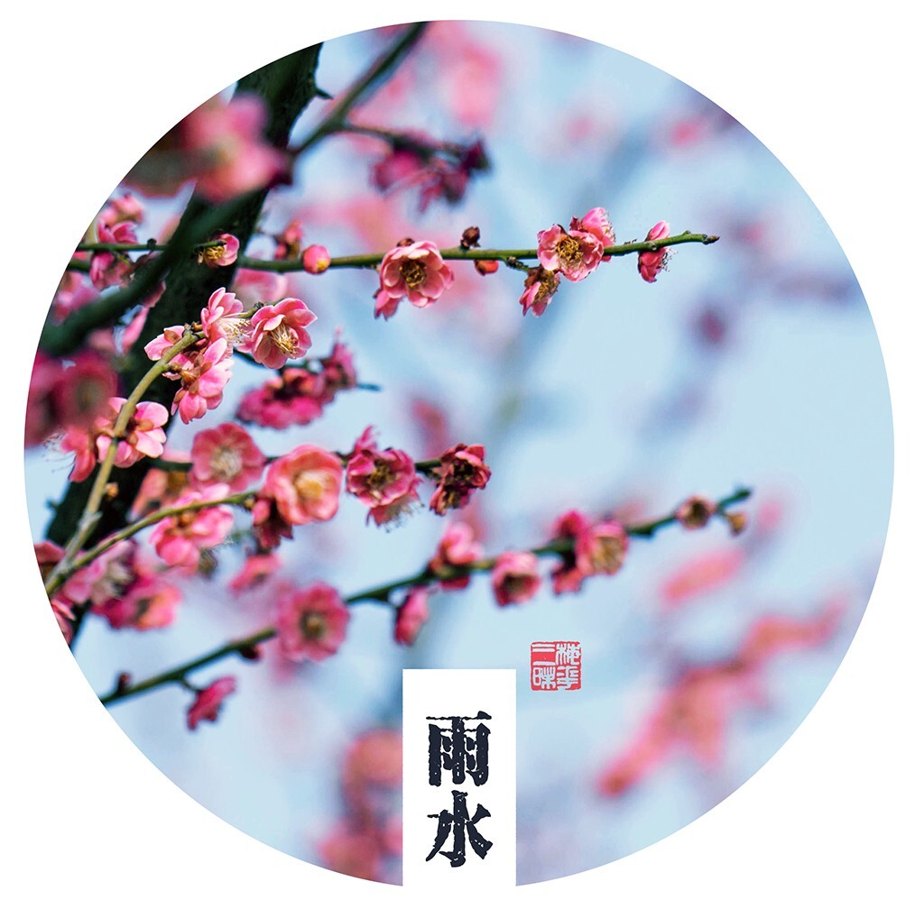 我也学人家玩玩二十四节气图~哈哈