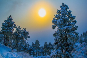 雪