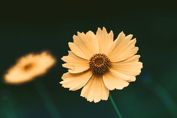 静（2）