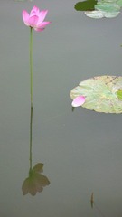 IMG_6281.JPG