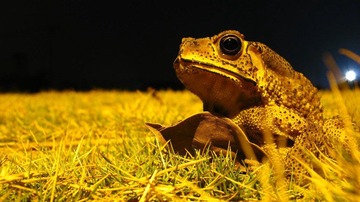 IMG_6685.jpg