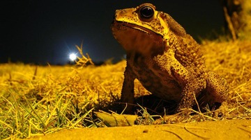 IMG_6686.jpg