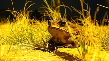 IMG_6679.jpg